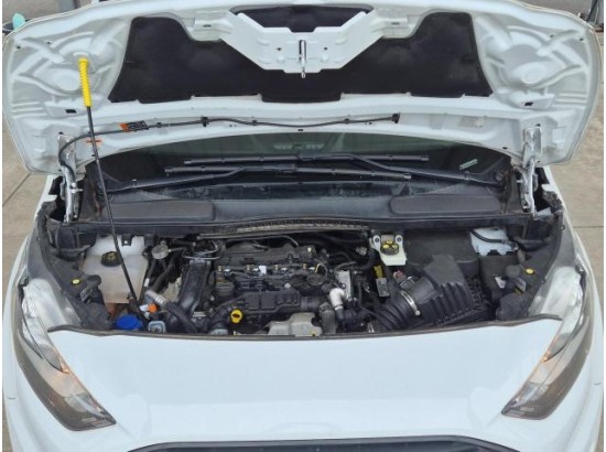 2021 Ford Transit Connect Kasten Lang Trend
