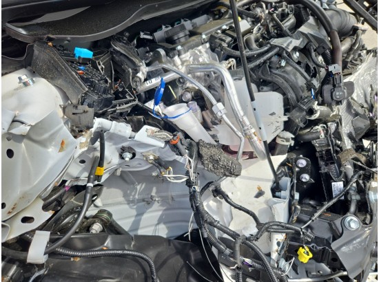 2026 Toyota Yaris Hybrid Business Edition