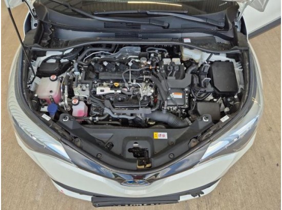 2021 Toyota C-HR Hybrid Team D