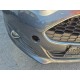 2017 Ford Fiesta Celebration