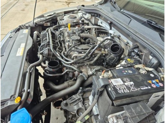 2024 Volkswagen Golf VIII Lim. Move