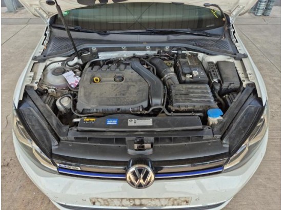 2019 Volkswagen Golf VII Lim. Highline BlueMotion