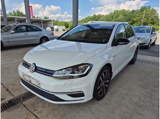 2019 Volkswagen Golf VII Lim. Highline BlueMotion