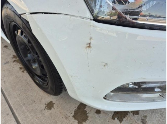 2017 Volkswagen Polo V Comfortline BMT/Start-Stopp