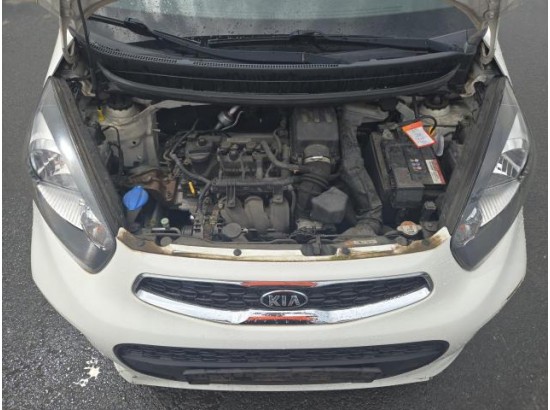 2016 Kia Picanto Dream Team