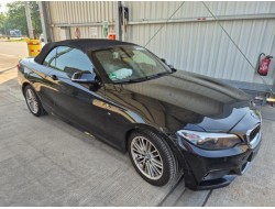 2017 BMW 2er Cabrio 220 i M Sport 2017 BMW 2er Cabrio 220 i M Sport
