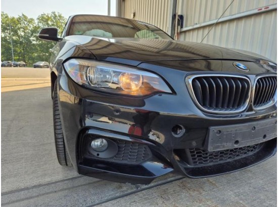 2017 BMW 2er Cabrio 220 i M Sport