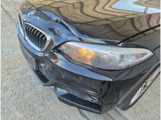 2017 BMW 2er Cabrio 220 i M Sport