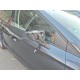 2019 Seat Ibiza FR