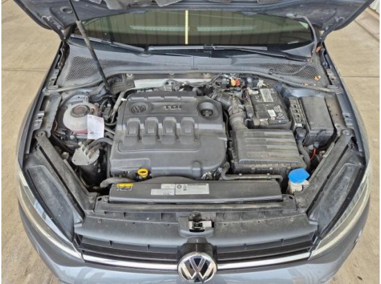2019 Volkswagen Golf VII Variant Trendline BMT/Start-Stopp
