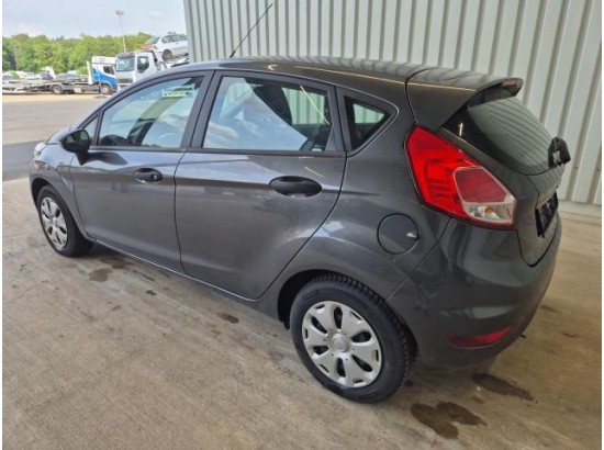 2015 Ford Fiesta Ambiente