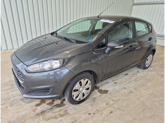 2015 Ford Fiesta Ambiente