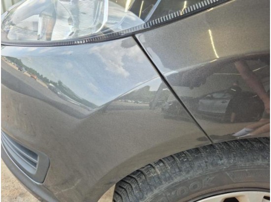 2015 Ford Fiesta Ambiente