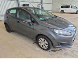 2015 Ford Fiesta Ambiente