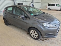 2015 Ford Fiesta Ambiente