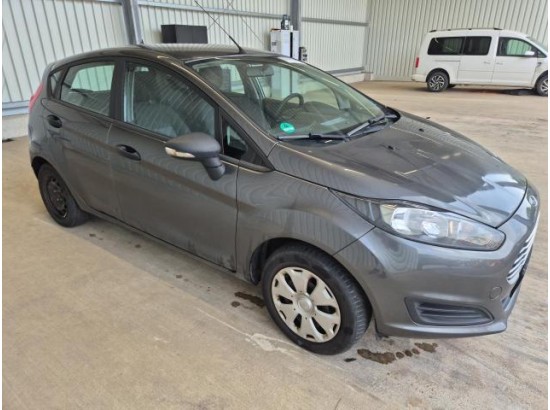 2015 Ford Fiesta Ambiente