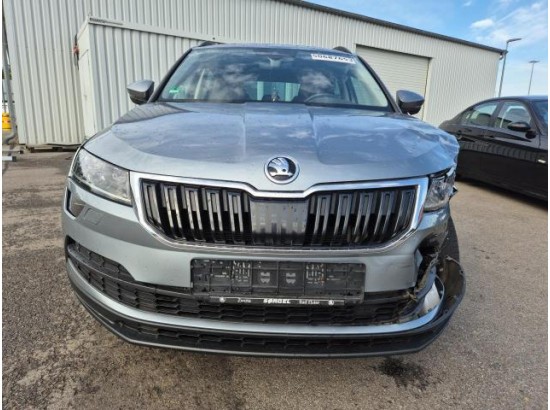 2019 Skoda Karoq Ambition