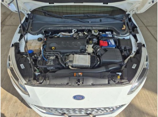 2019 Ford Focus Turnier Vignale