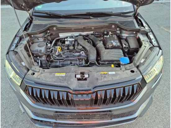 2024 Skoda Karoq Sportline