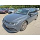 2024 Volkswagen Golf VIII Variant Life