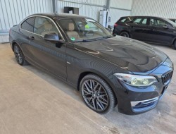 2018 BMW 2er Coupe 220 i Luxury Line