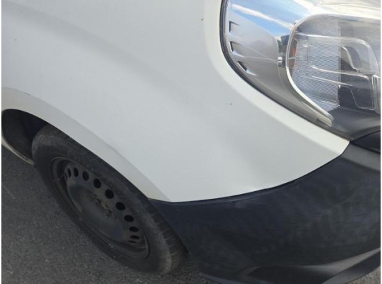 2017 FIAT Doblo Basis Maxi Kasten