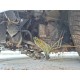 2016 Ford Focus Lim. Titanium