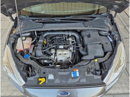 2016 Ford Focus Turnier Business