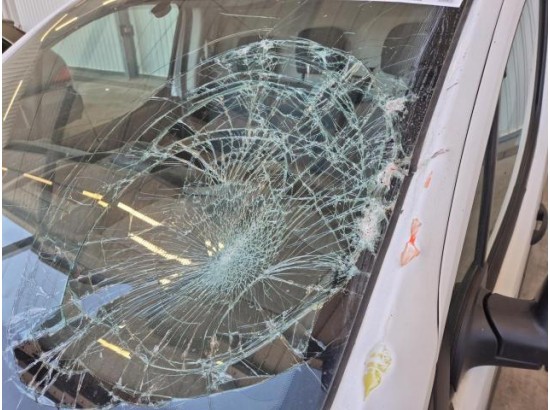 2016 Citroen Berlingo Kasten L1 Proline
