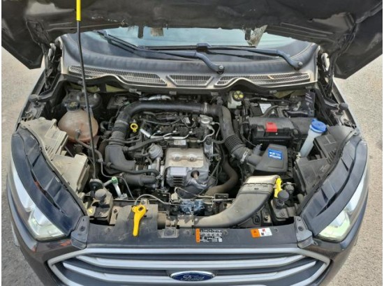 2019 Ford EcoSport Cool&Connect