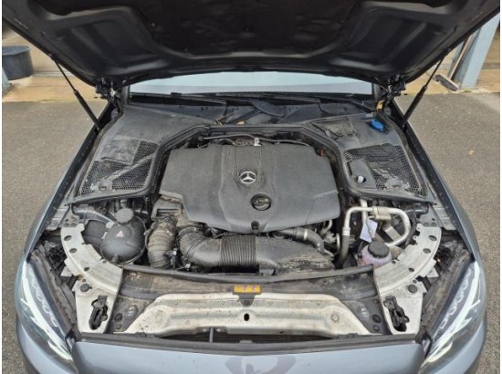 2017 Mercedes-Benz C -Klasse T-Modell C 250 BlueTec / d
