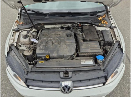 2017 Volkswagen Golf VII Lim. Allstar BMT
