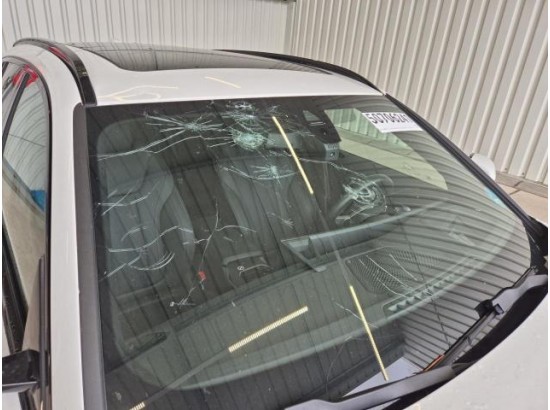 2025 BMW 3er Touring 320 d xDrive M Sport