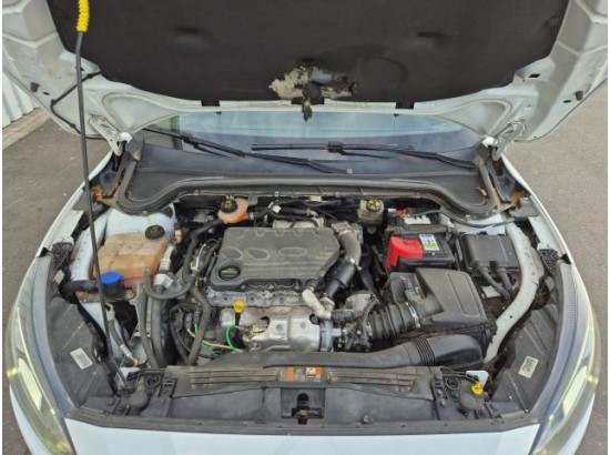 2019 Ford Focus Turnier Cool & Connect