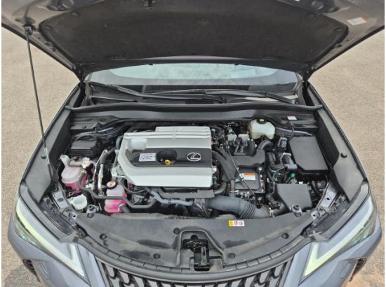 2021 Lexus UX 250 h