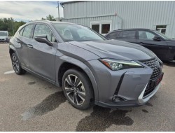 2021 Lexus UX 250 h