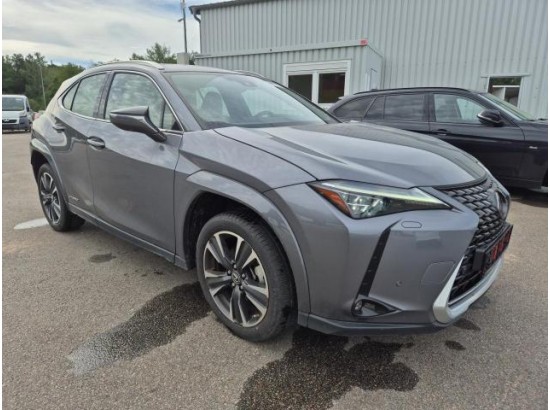 2021 Lexus UX 250 h