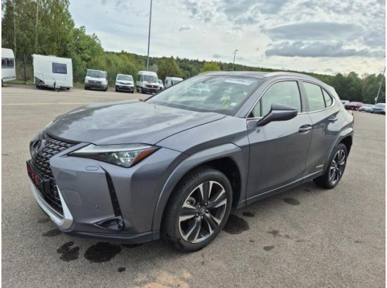 2021 Lexus UX 250 h