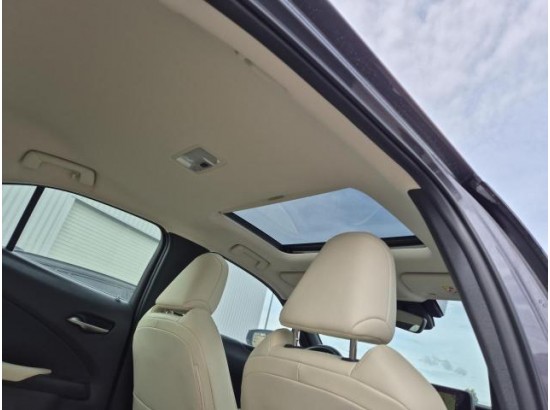 2021 Lexus UX 250 h