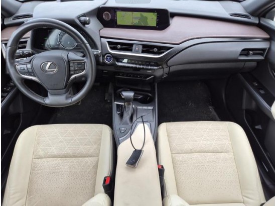 2021 Lexus UX 250 h