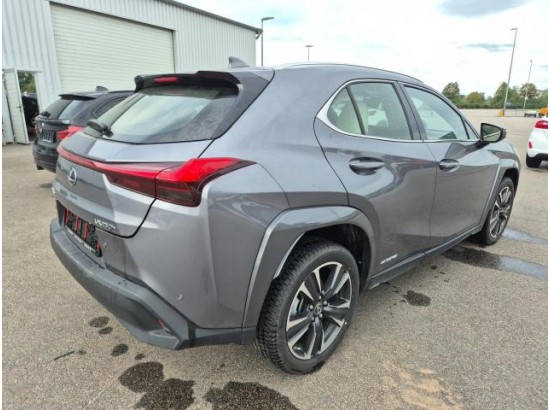 2021 Lexus UX 250 h