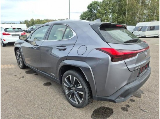 2021 Lexus UX 250 h