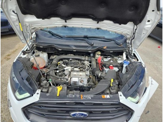 2018 Ford EcoSport ST-Line