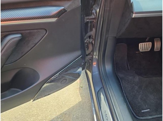 2021 Tesla Model 3 Performance Dual AWD