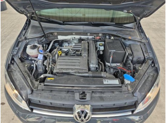 2017 Volkswagen Golf VII Variant Allstar BMT