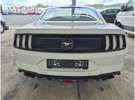 2019 Ford Mustang Basis Fastback