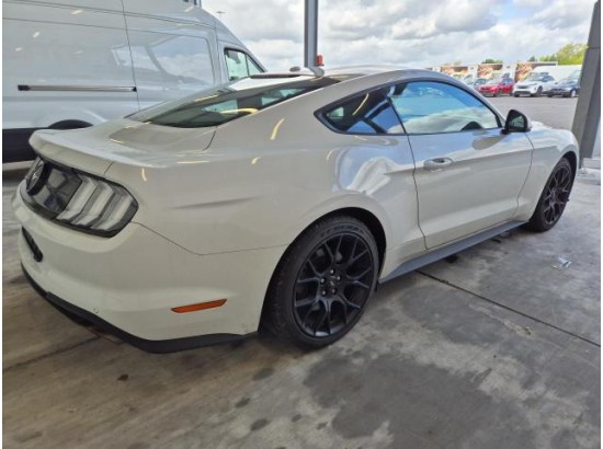 2019 Ford Mustang Basis Fastback