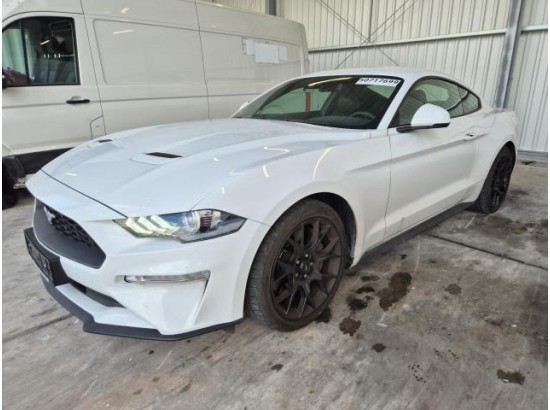 2019 Ford Mustang Basis Fastback