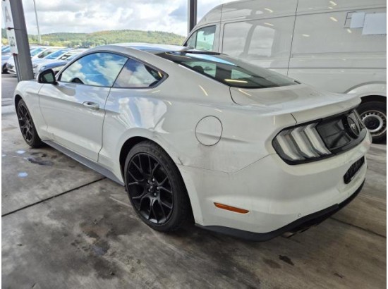 2019 Ford Mustang Basis Fastback