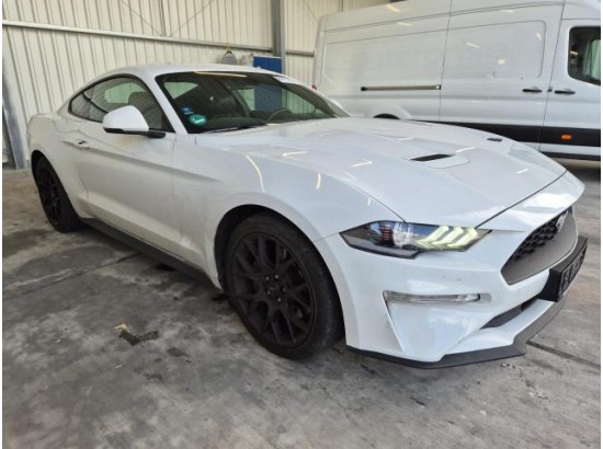 2019 Ford Mustang Basis Fastback